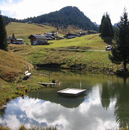 Appartamento Dreimaederlhaus Sankt Gallenkirch Esterno foto